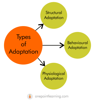 Types Adaptation in plants