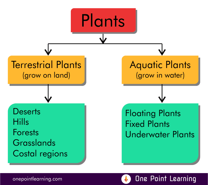 Types of plants habitat