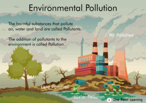 Our environment and pollution Worksheets Class 4 PDF