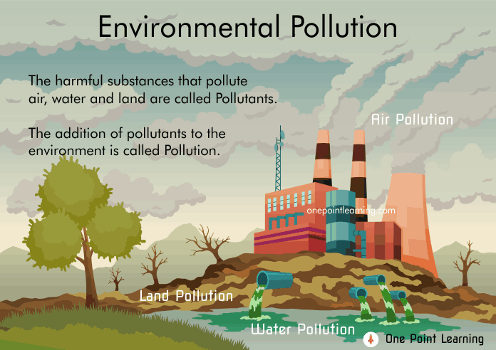 Our environment and Pollution worksheet class 4
