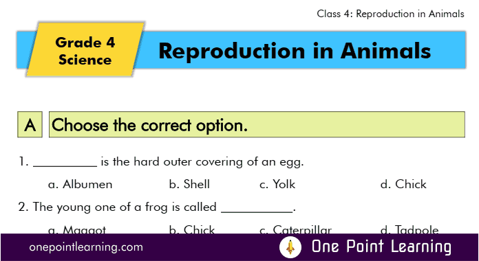 Reproduction in animals Class 4 worksheets