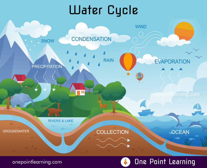 Water Cycle diagram class 4 Science