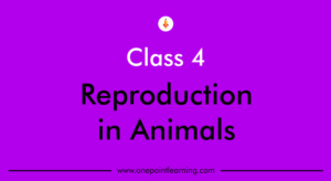 Reproduction in animals Class 4 worksheets with Answers PDF