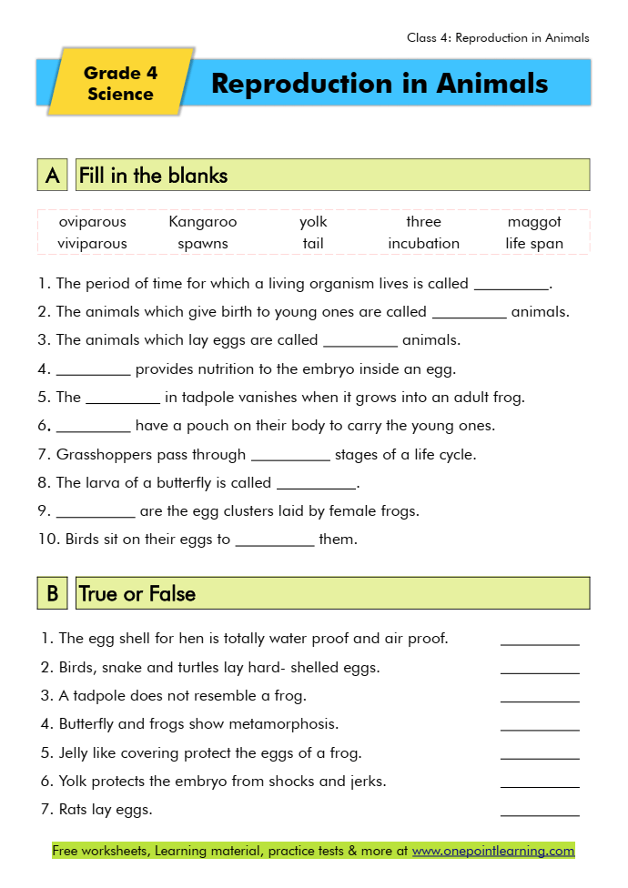 Reproduction In Animals Class 4 Worksheets PDF