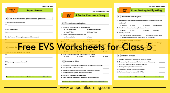 Free NCERT Class 5 EVS Worksheets PDF