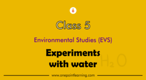 easy experiments with water for class 5 worksheet with answers