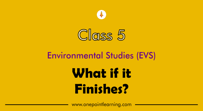 Class 5 EVS Chapter 12 What if it Finishes Question Answer