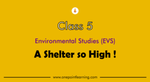 A Shelter so High Class 5 worksheets with Answers PDF A Shelter so High Class 5 worksheets with Answers PDF