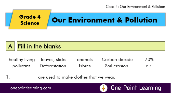 our environment and pollution worksheet for class 4
