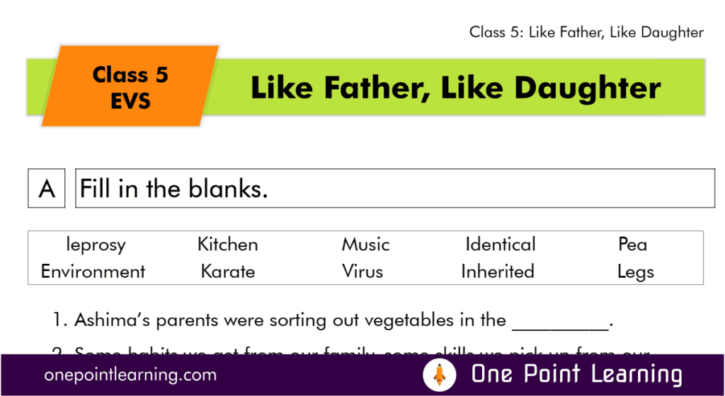 Class 5 EVS Chapter 21 Like Father Like Daughter worksheet