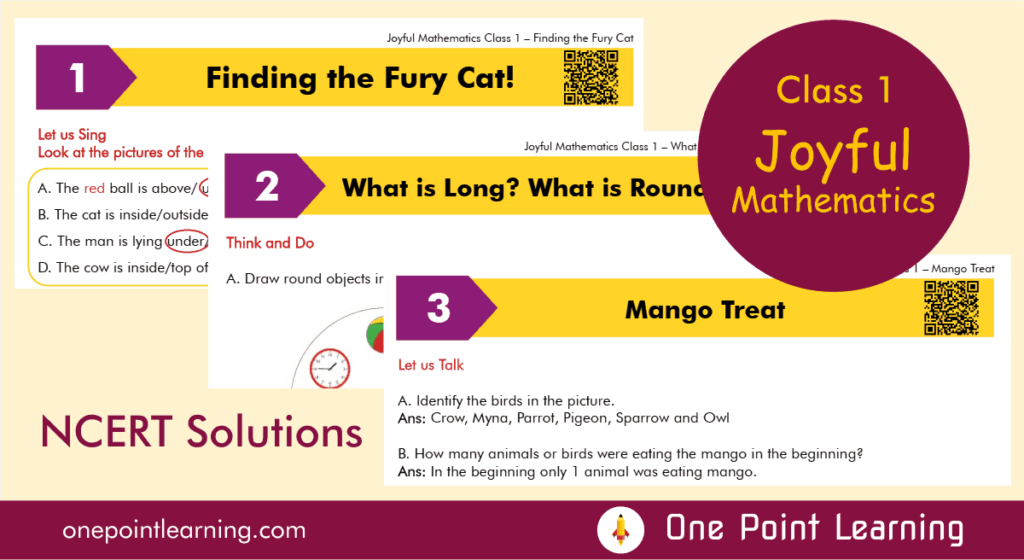 Joyful Mathematics Class 1 Solutions PDF Download