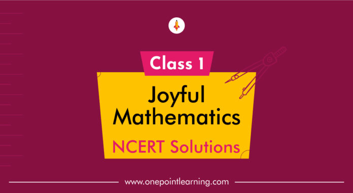 Joyful Mathematics Class 1 Solutions Questions Answers