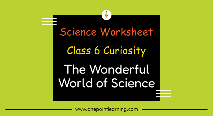 Class 6 Science chapter 1 Worksheet with answers PDF