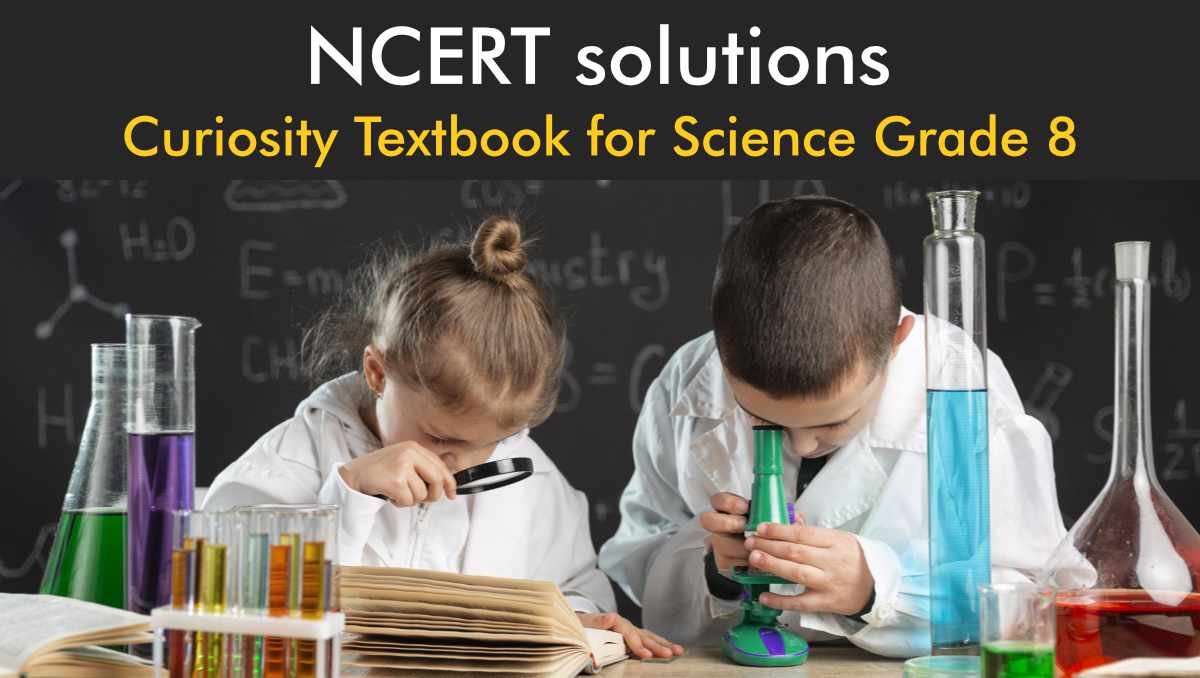 Curiosity Class 8th science NCERT solutions