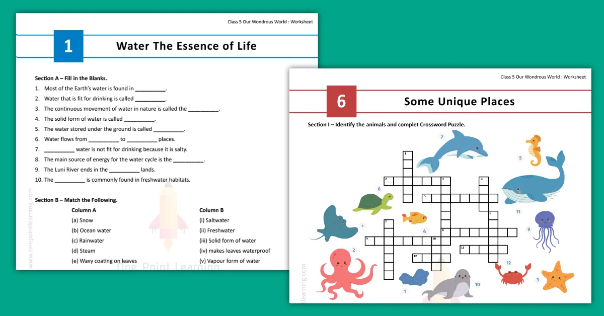 Our Wondrous World Class 5 PDF worksheet