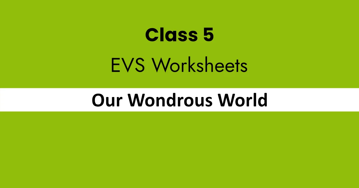 Our Wondrous World Class 5 worksheets