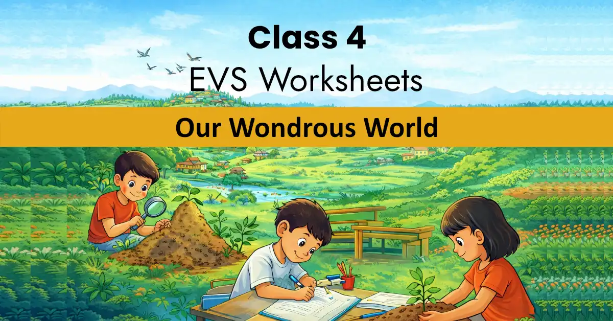 EVS Class 4 worksheets with answers